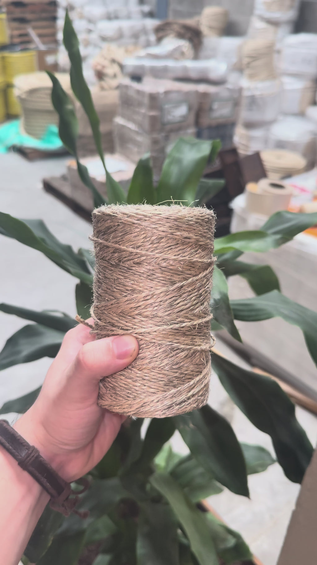 Hilo de Henequén 2 Cabos Gris Natural 470 g – P7 2/1200