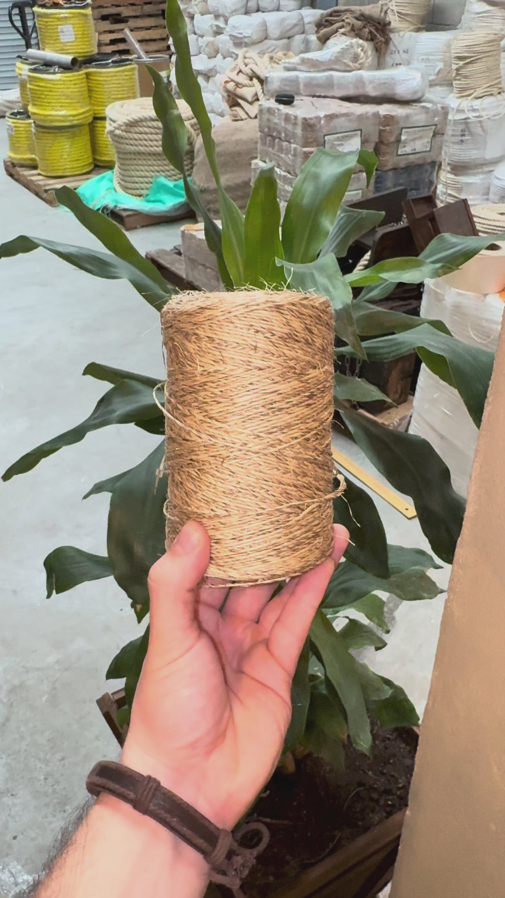 Hilo de Henequén 1 Cabo Beige Natural 470 g – Biodegradable