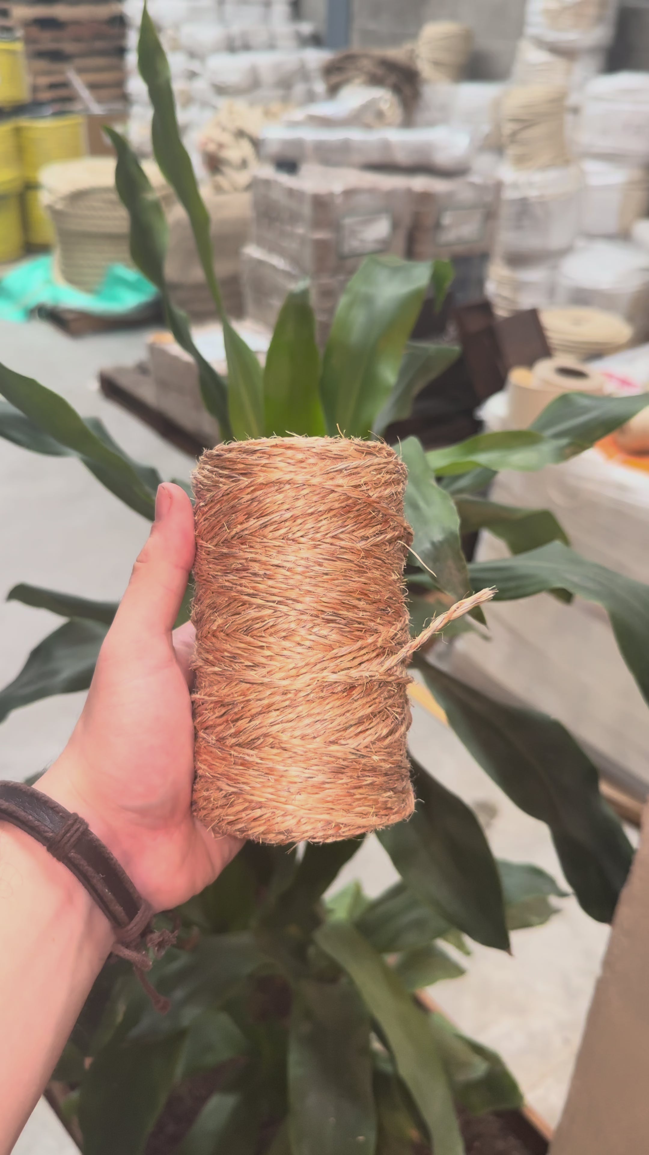 Hilo de Henequén 2 Cabos Bronce / Natural 470 g – Y1 2/1000