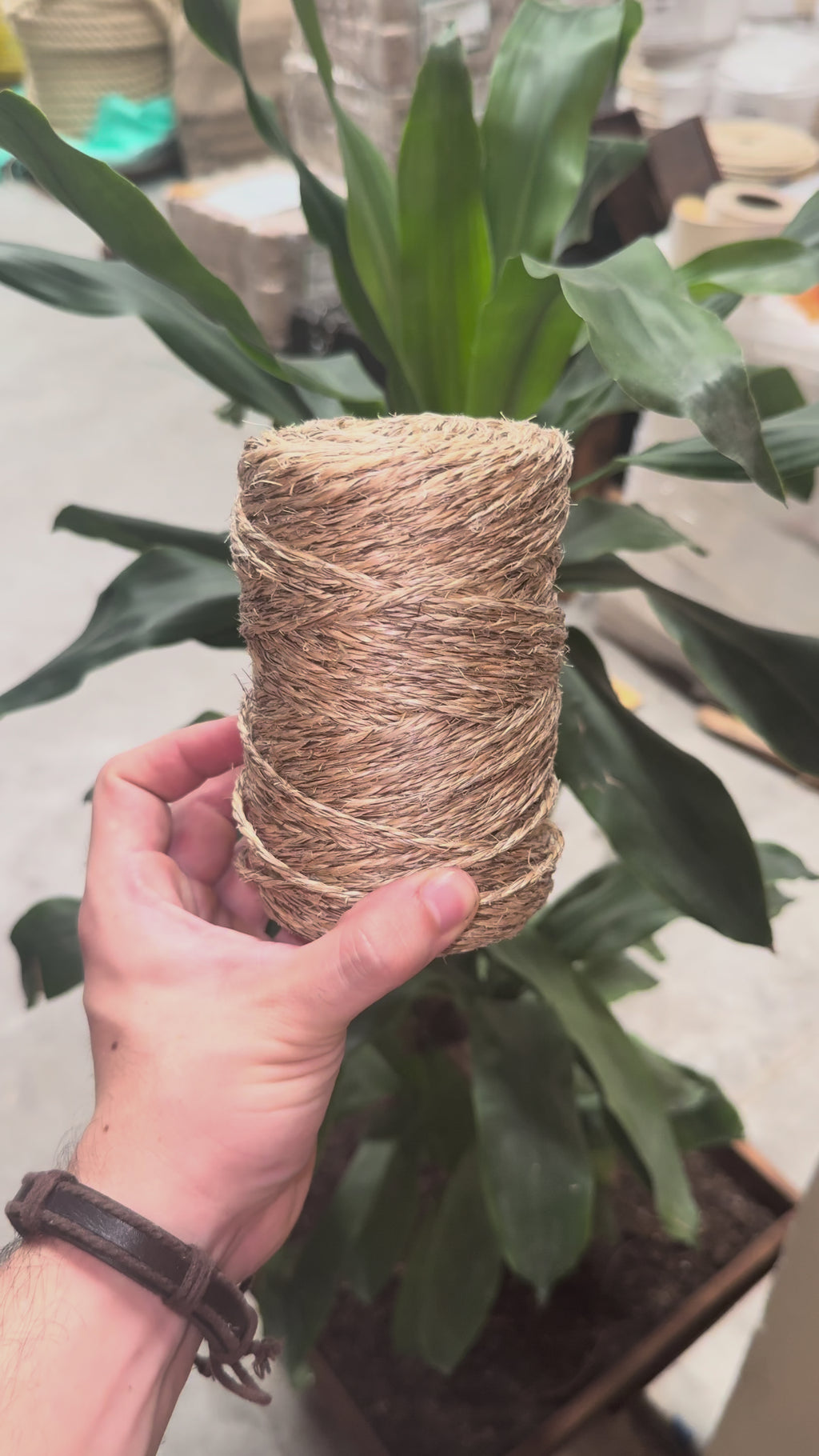 Hilo de Henequén 3 Cabos Natural 470 g – 31 3/1200