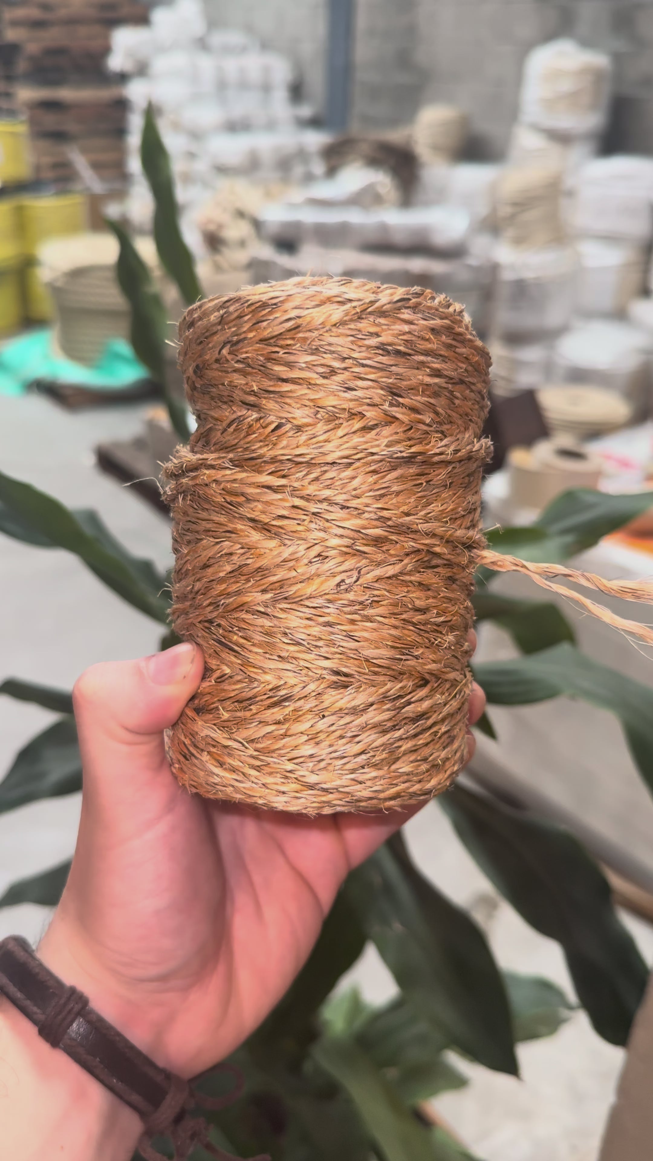 Hilo de Henequén 3 Cabos Natural 470 g – Y5 3/1200